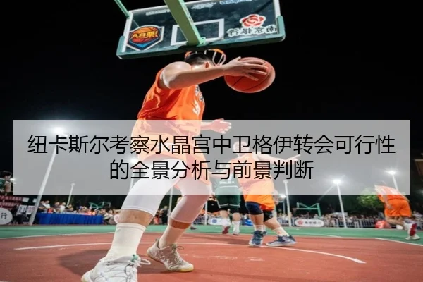 纽卡斯尔考察水晶宫中卫格伊转会可行性的全景分析与前景判断